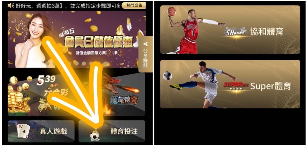 線上博弈BINGO賓果玩法教學